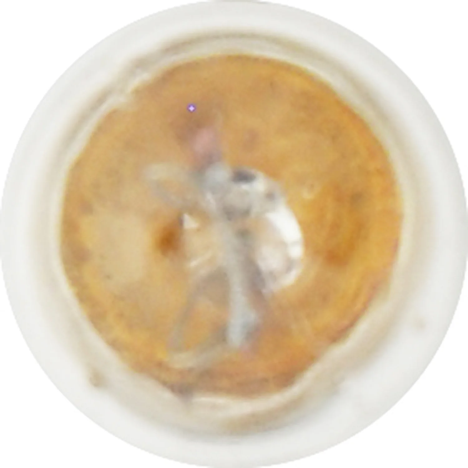 10-PK SYLVANIA 1892 Standard Automotive Light Bulb - Image 4