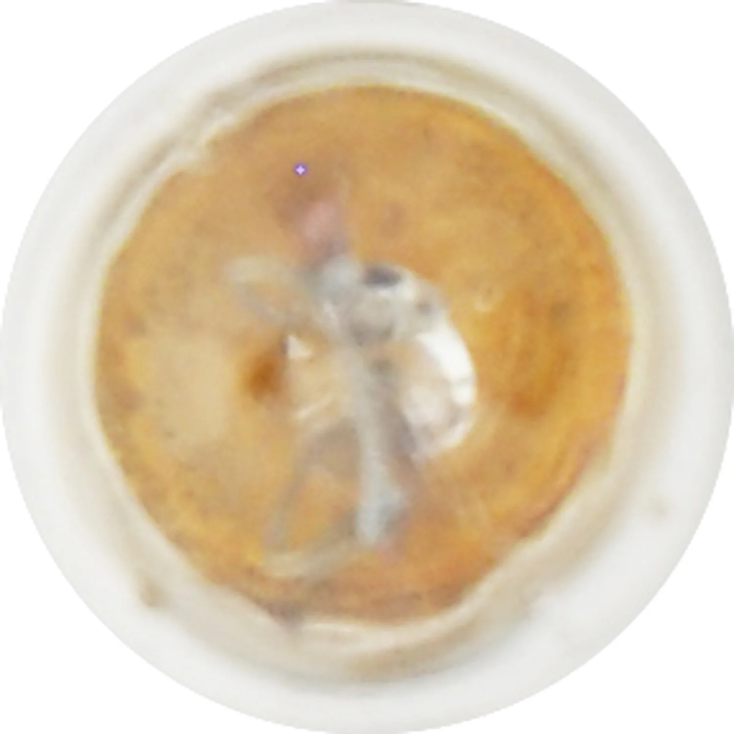 10-PK SYLVANIA 1893 Standard Automotive Light Bulb - Image 4