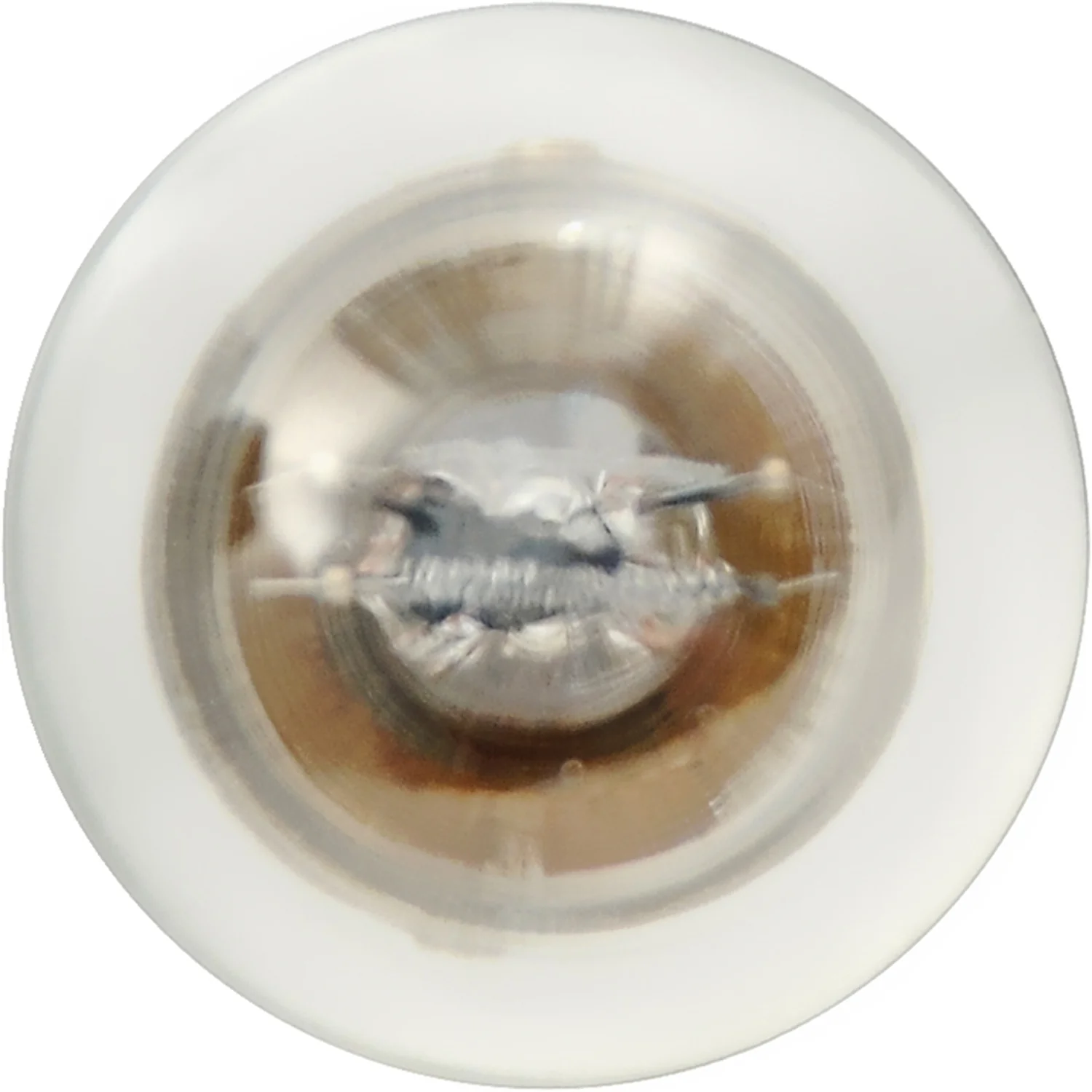 10-PK SYLVANIA 198 Standard Automotive Light Bulb - Image 4