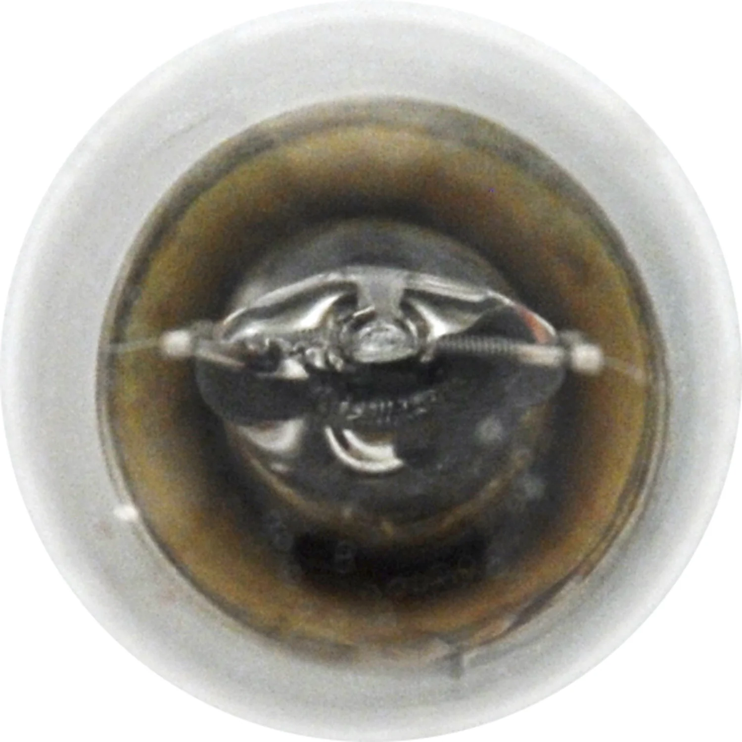 2-PK SYLVANIA 1003 Long Life Automotive Light Bulb - Image 4