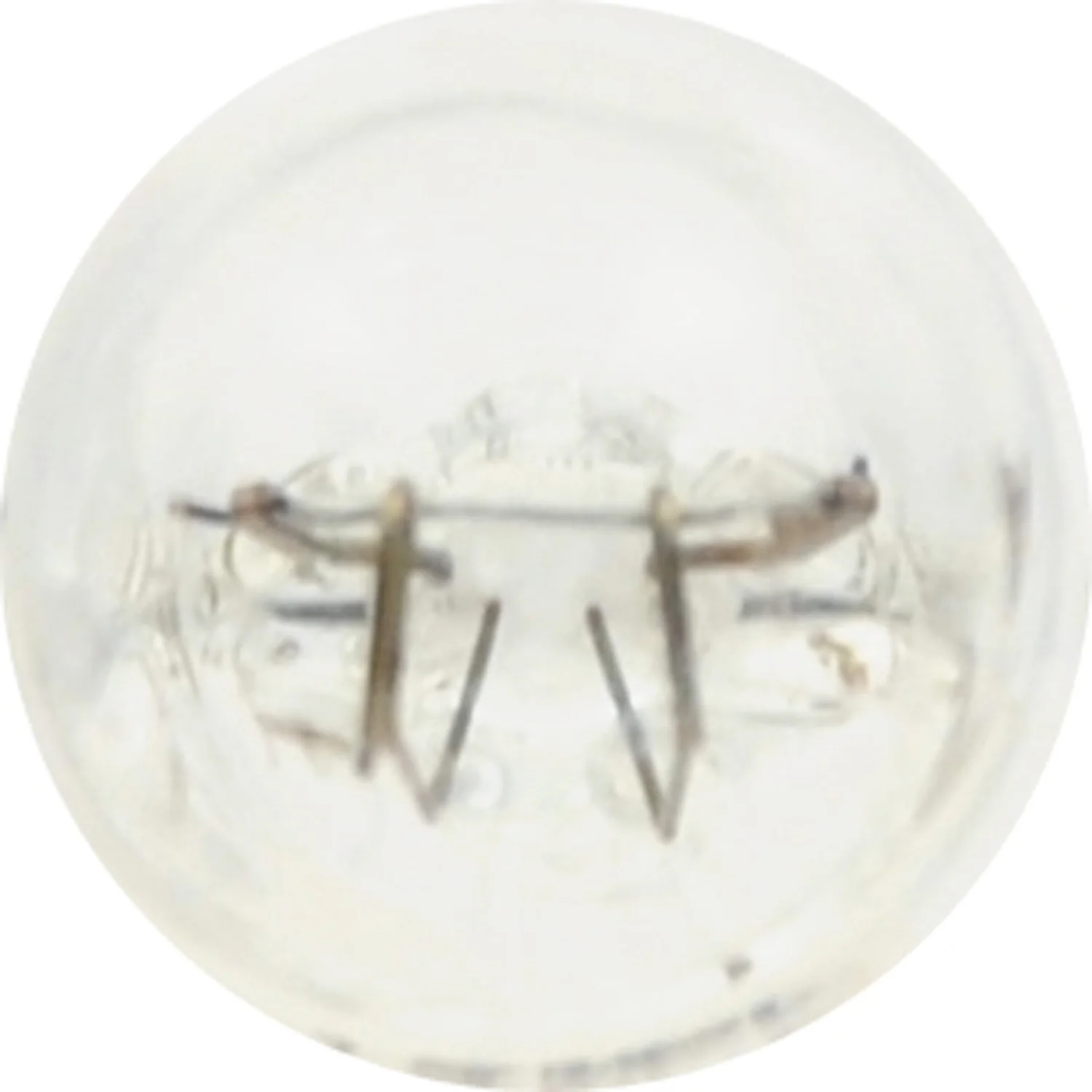 2-PK SYLVANIA 161 Long Life Automotive Light Bulb - Image 4