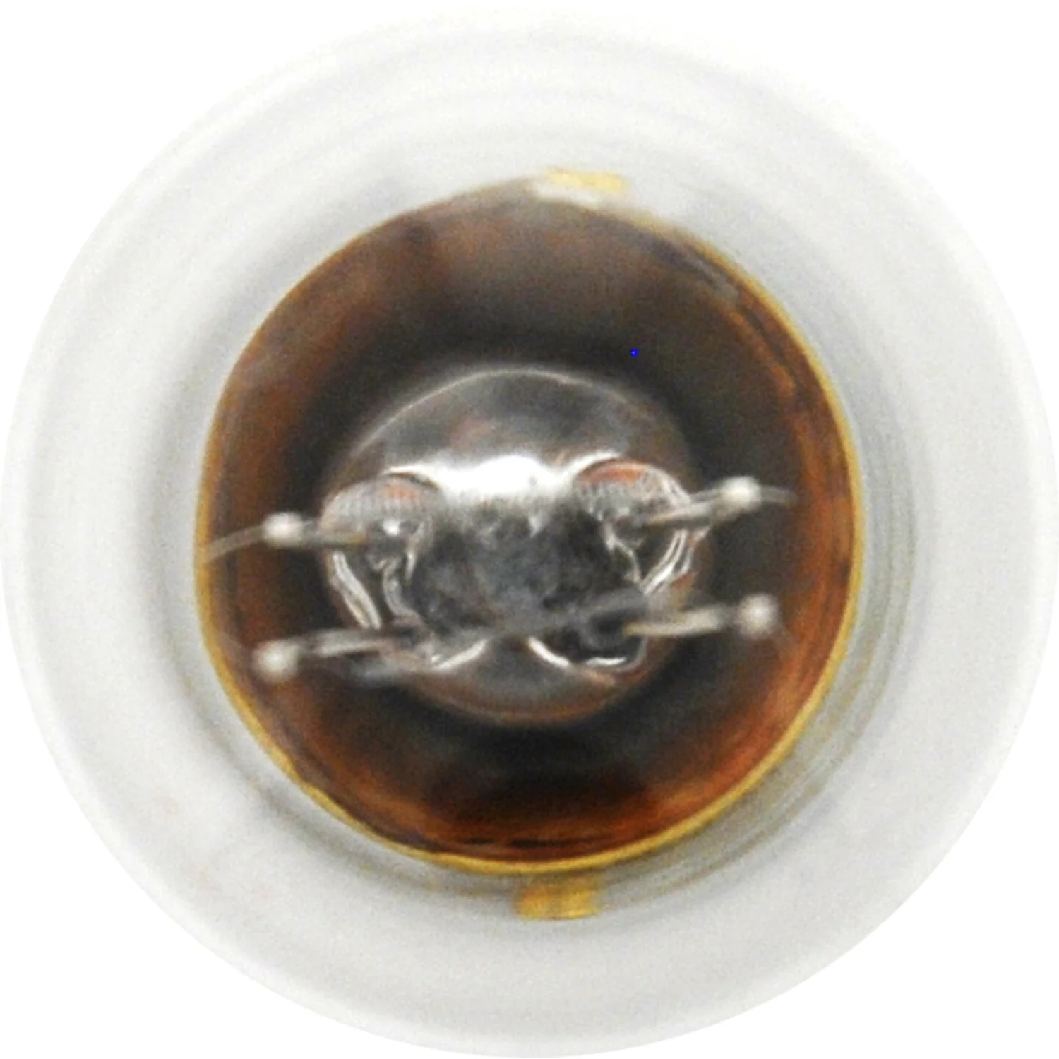 2-PK SYLVANIA 2357 Standard Automotive Light Bulb - Image 4