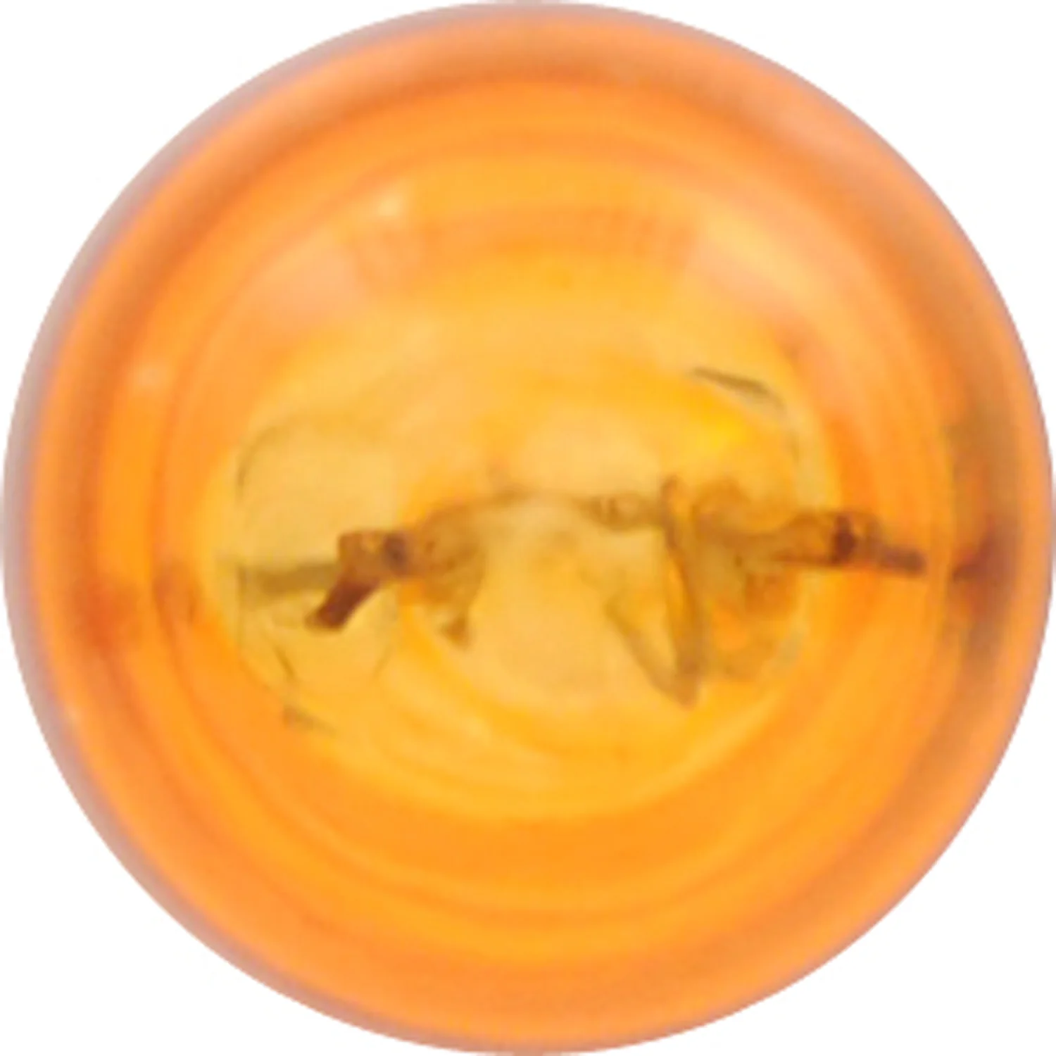 2-PK SYLVANIA 24NA Long Life Automotive Light Bulb - Image 4