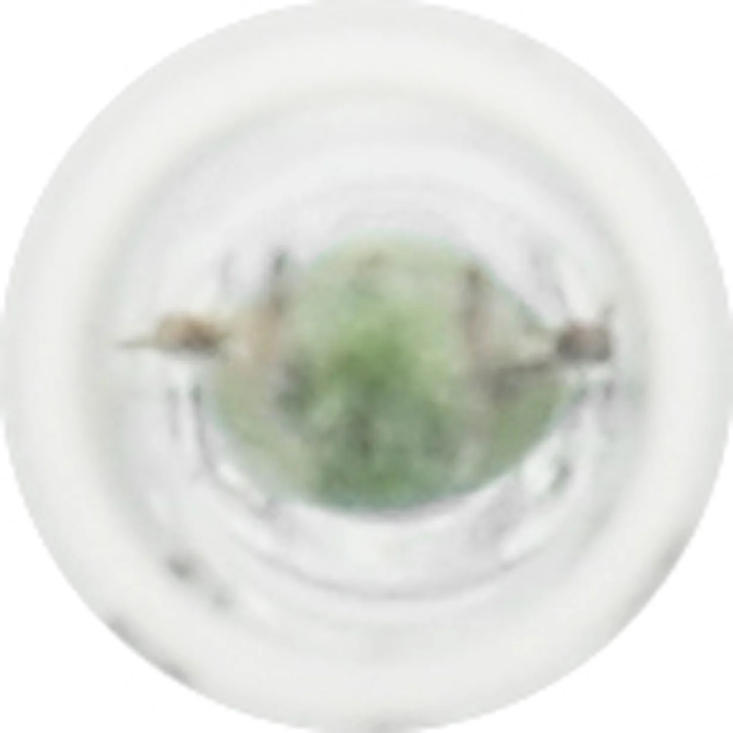 2-PK SYLVANIA 37 Standard Automotive Light Bulb - Image 4