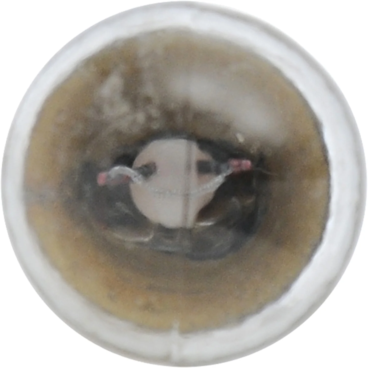 2-PK SYLVANIA 5007 Standard Automotive Light Bulb - Image 4