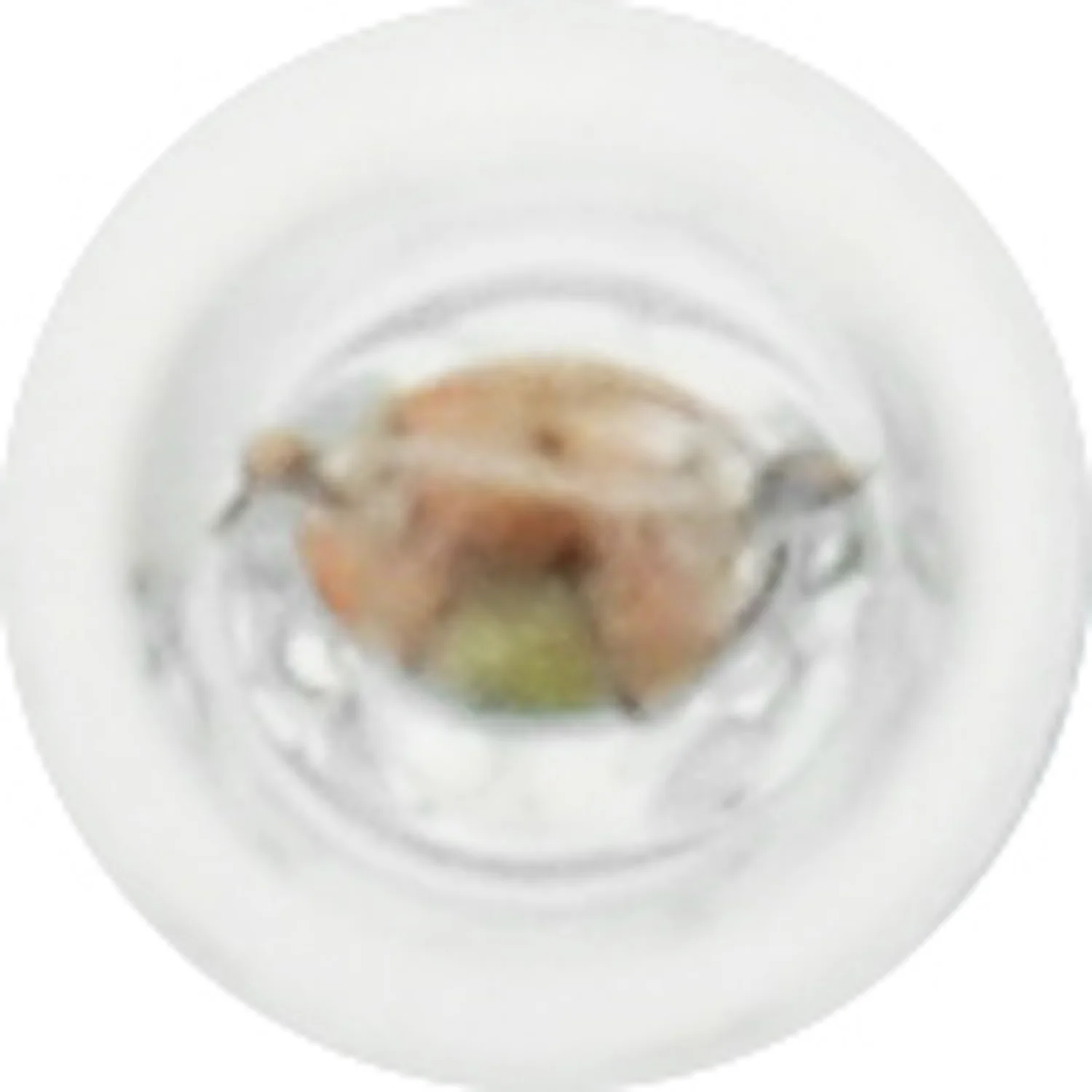 2-PK SYLVANIA 73 Standard Automotive Light Bulb - Image 4