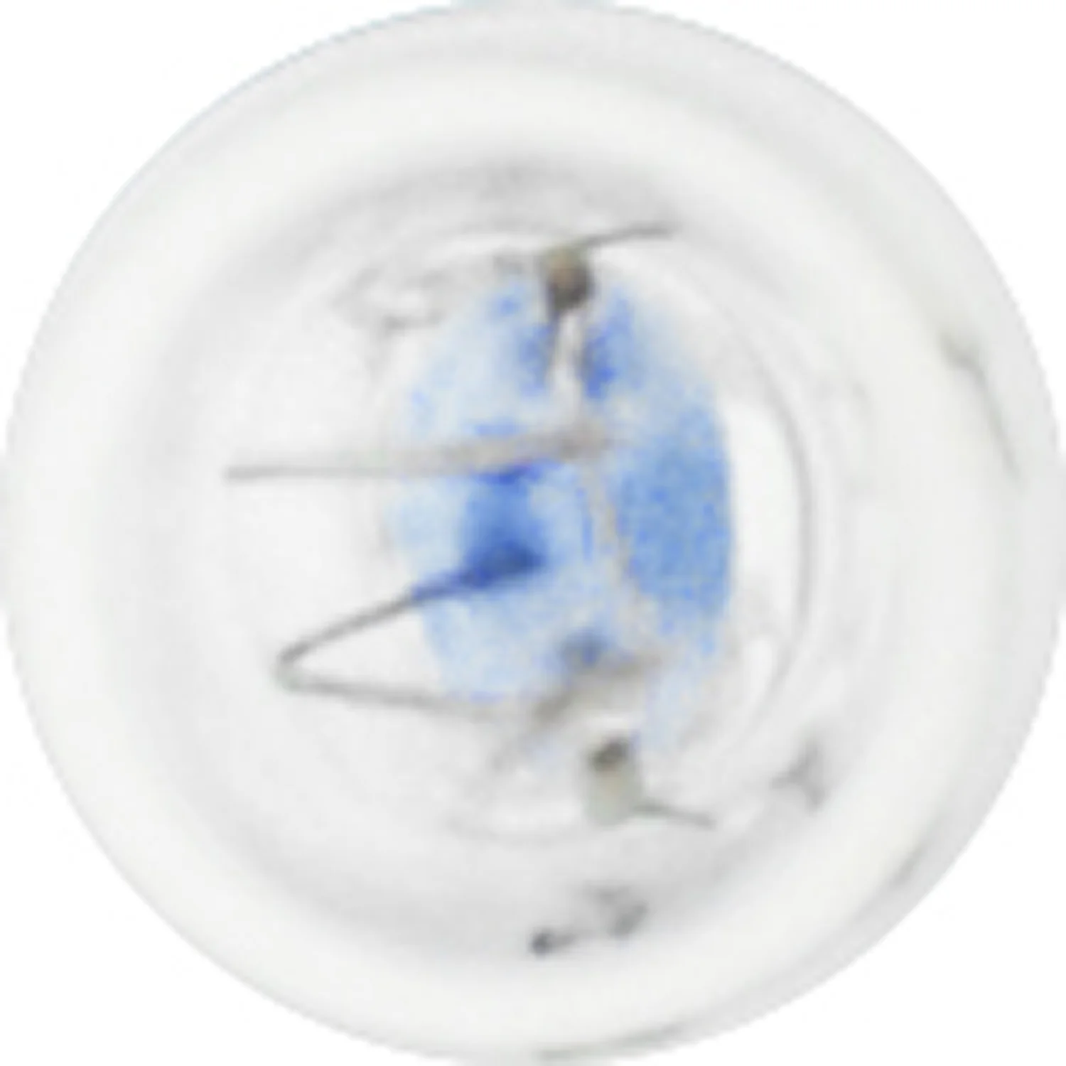 2-PK SYLVANIA 74 Standard Automotive Light Bulb - Image 4