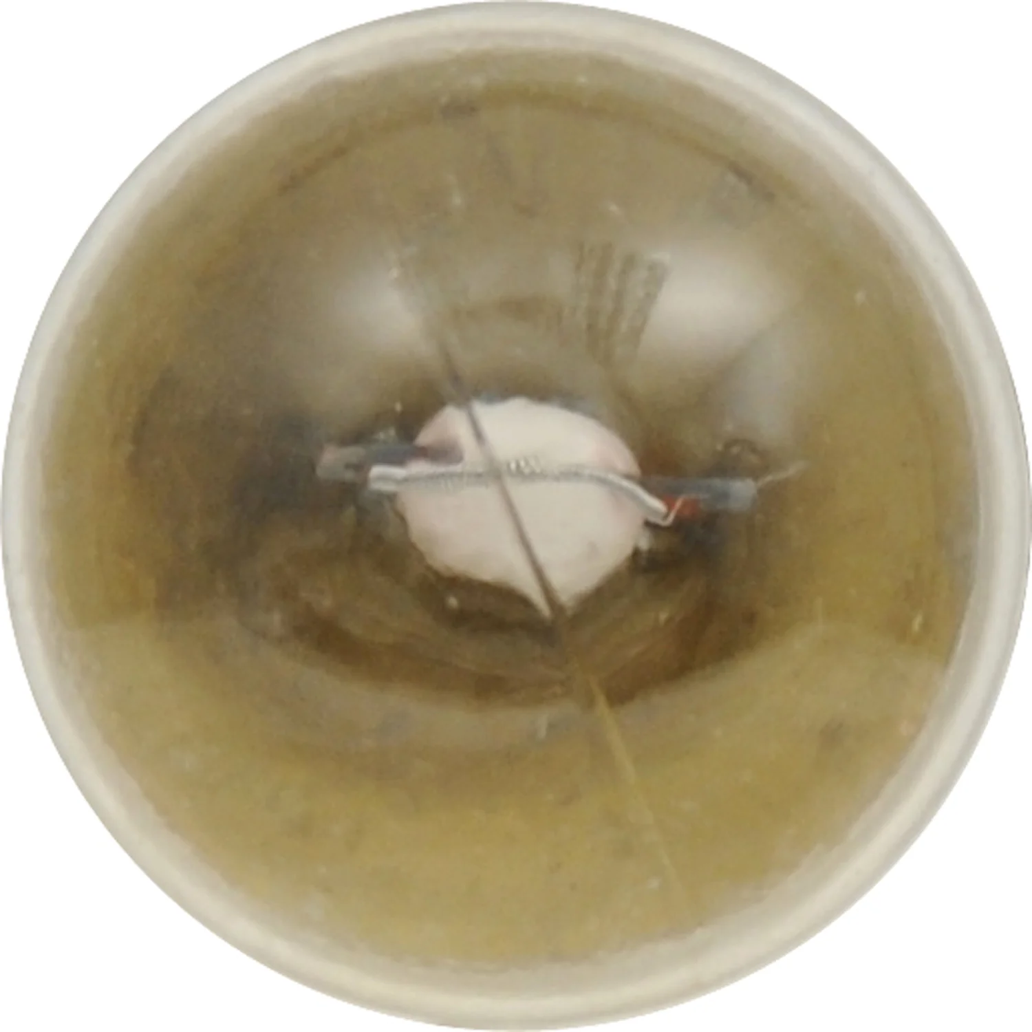 2-PK SYLVANIA 89 Long Life Automotive Light Bulb - Image 4
