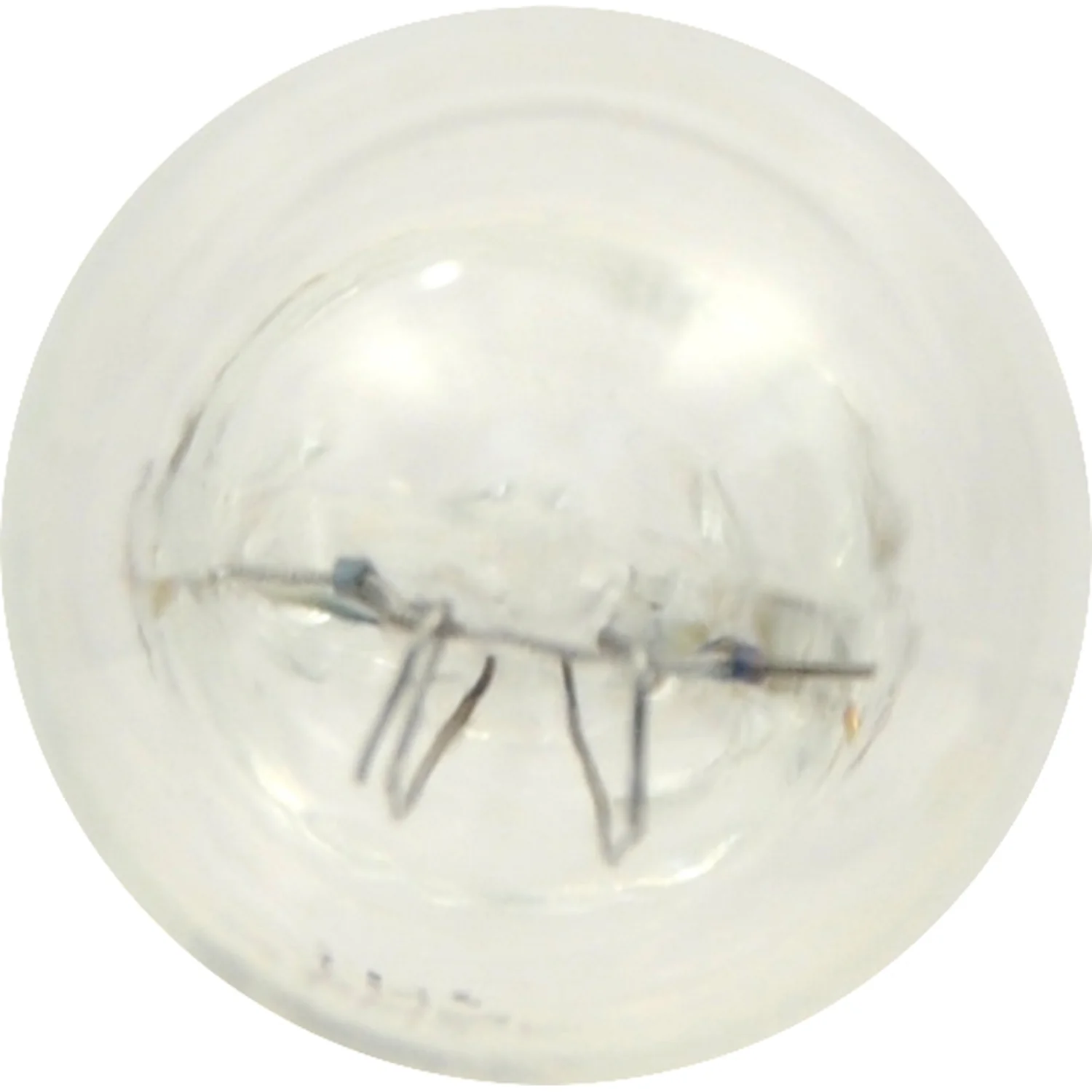 2-PK SYLVANIA 906 Long Life Automotive Light Bulb - Image 4