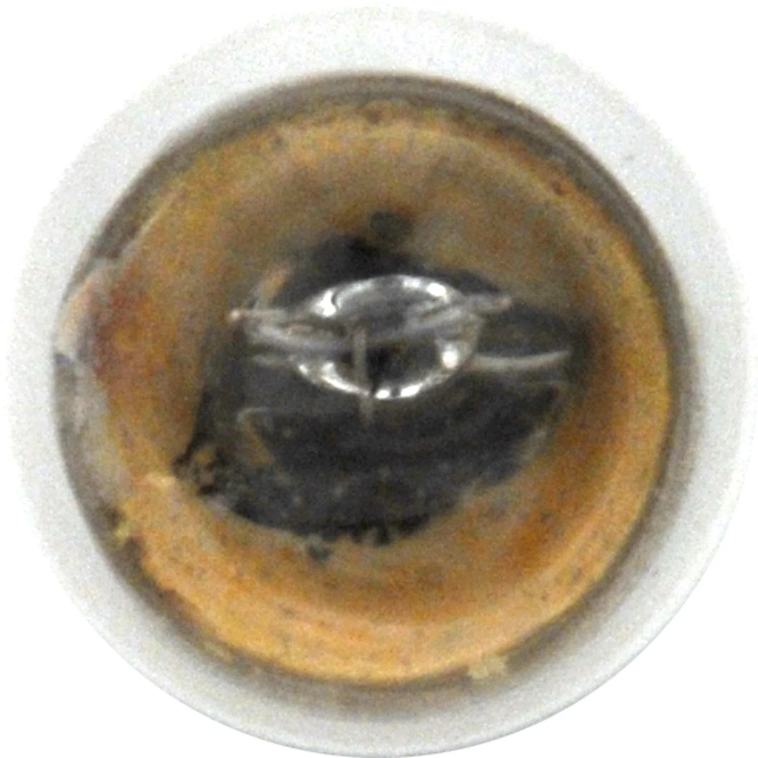 2-PK SYLVANIA 97 Standard Automotive Light Bulb - Image 4