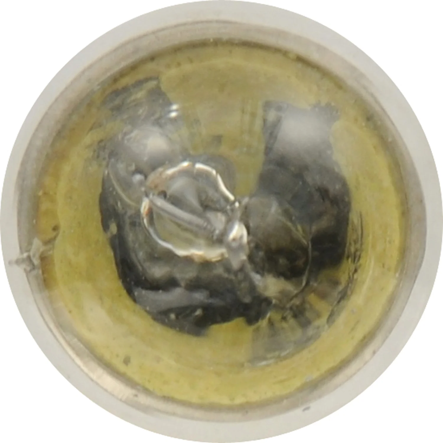 2-PK SYLVANIA 97 Long Life Automotive Light Bulb - Image 4