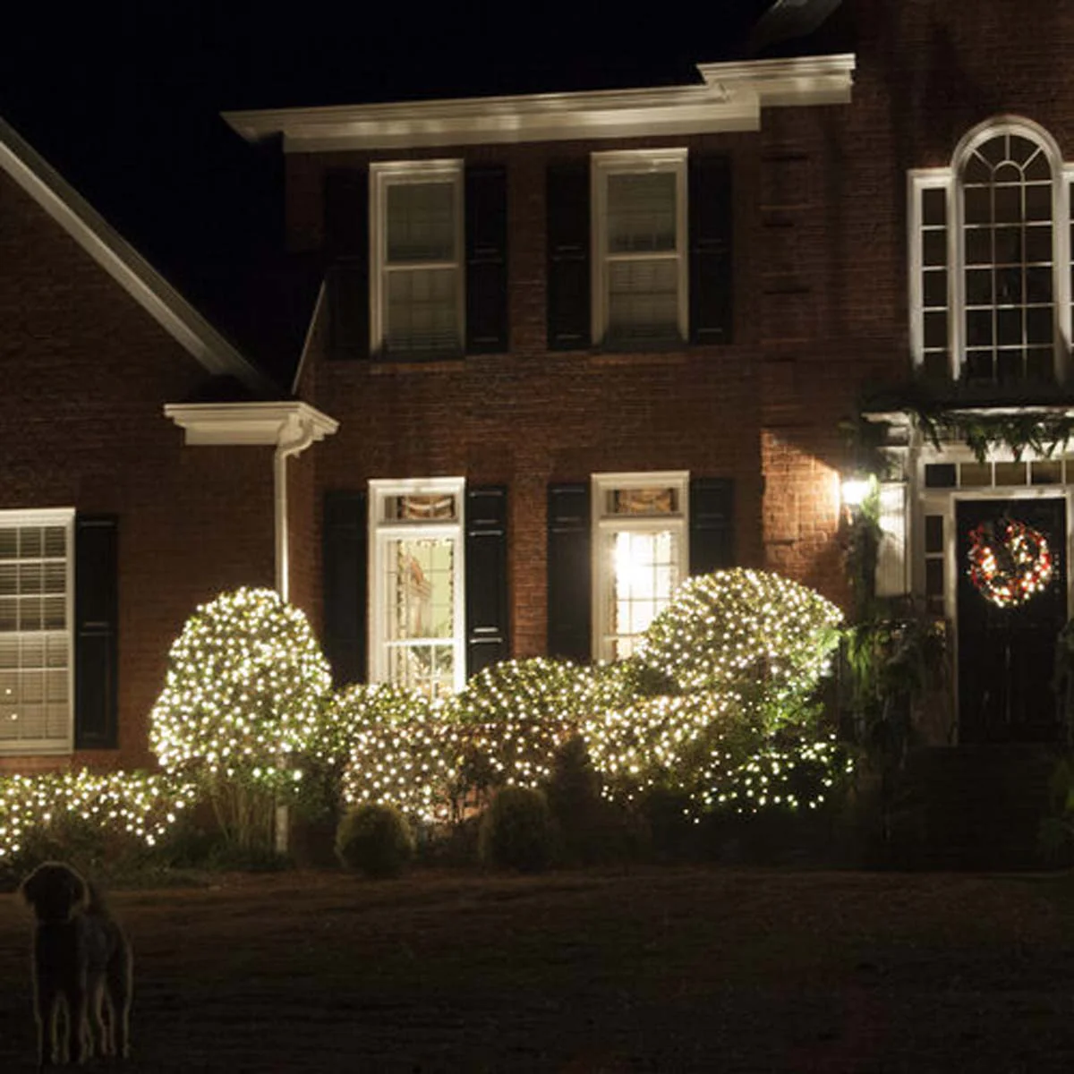 4' x 6' Clear Christmas Net Lights, 150 Lamps - Image 7