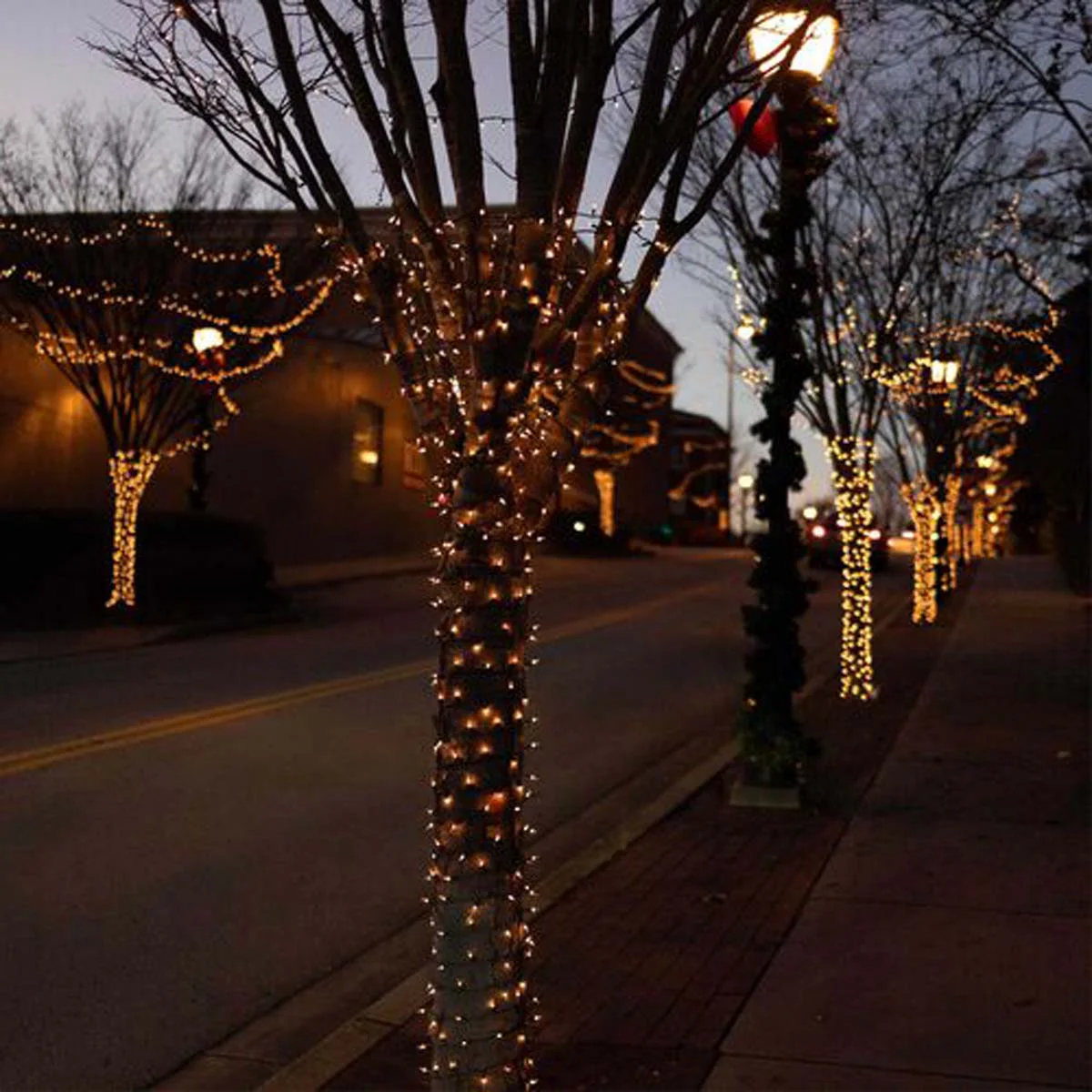 50 Clear Mini Lights 6" Spacing - Image 9