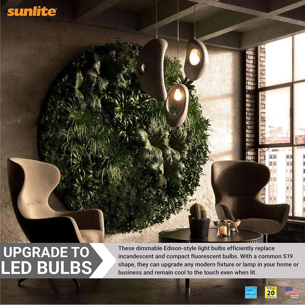 Sunlite 6w LED S19 Filament Style Edison E26 Base 2700K Bulb - 60W Equiv - Image 4