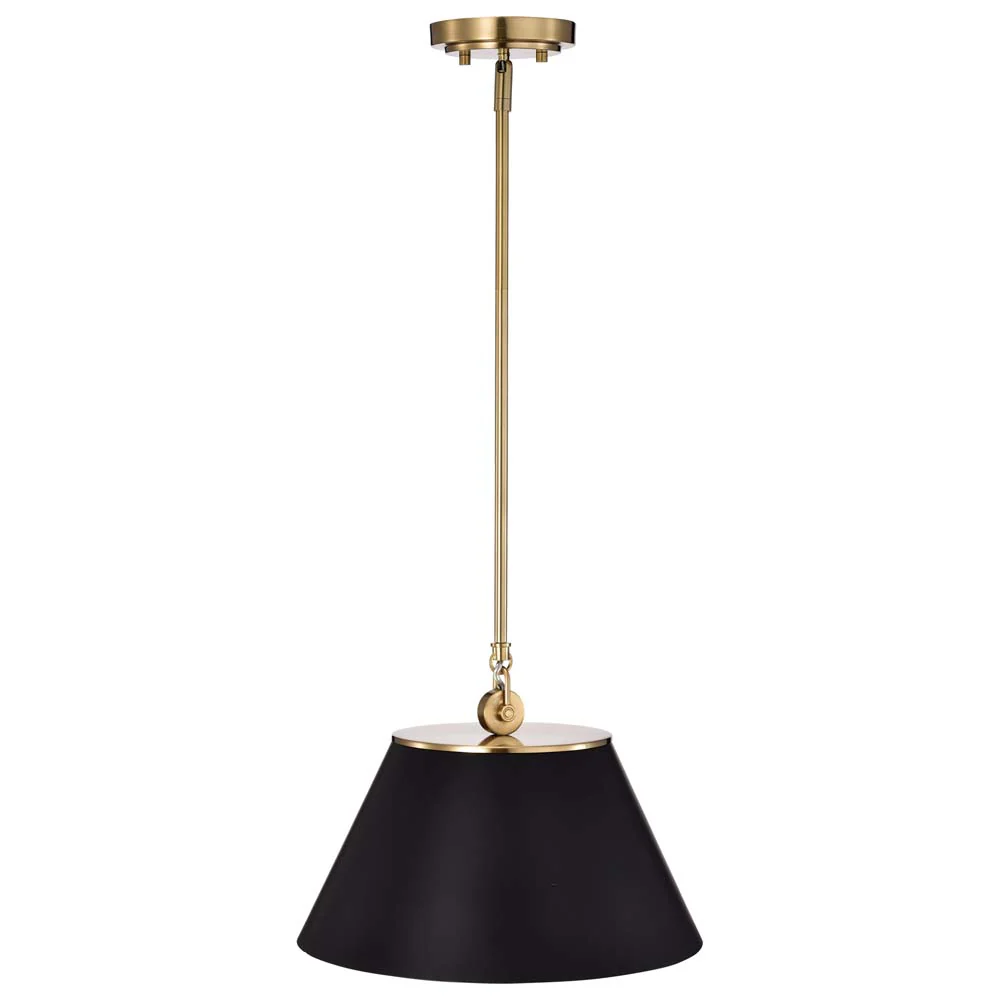 Dover 1-Light Medium Pendant Black with Vintage Brass - Image 2