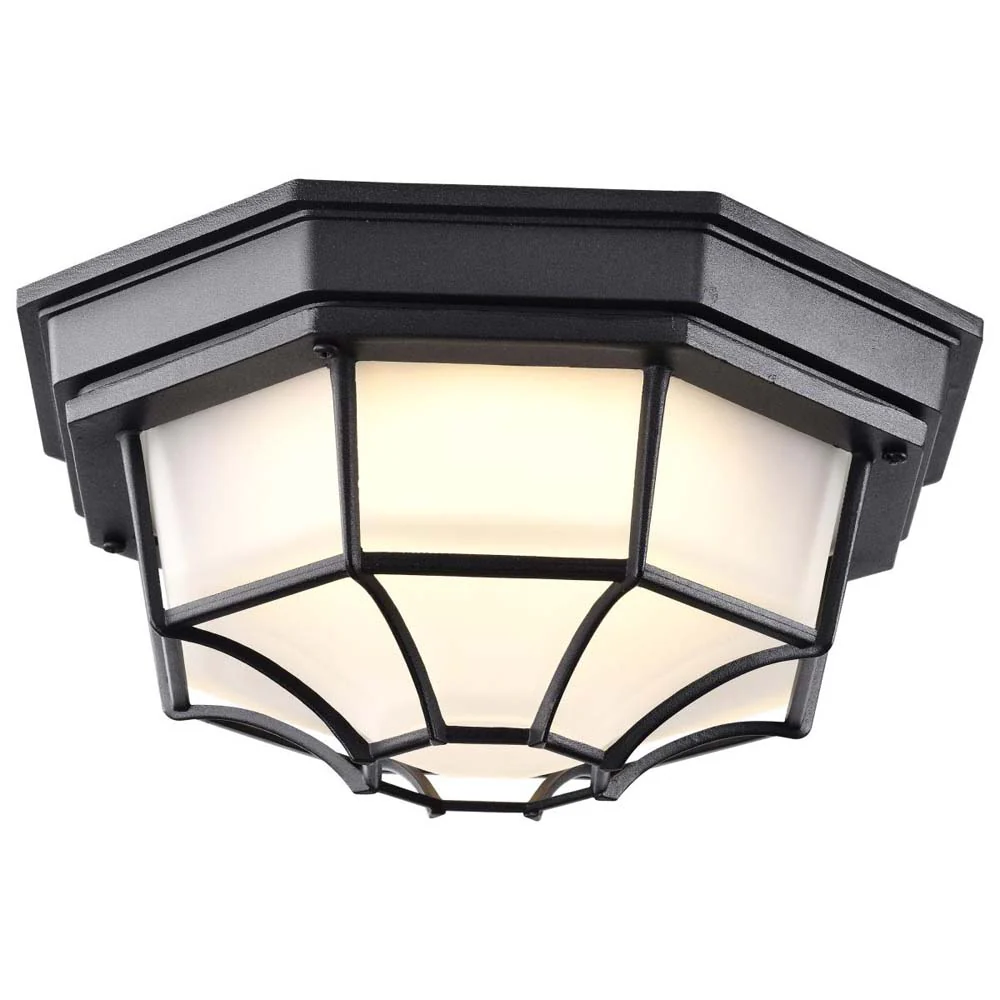LED Spider Cage Fixture Black Finish w/ Frosted Glass - Image 2