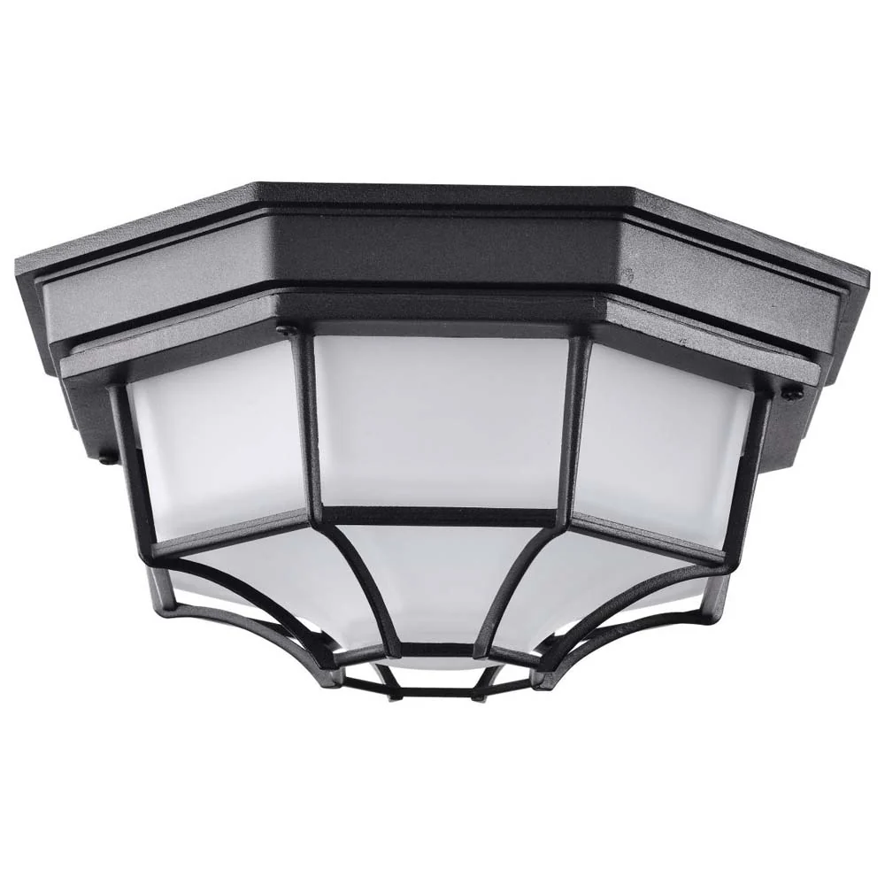 LED Spider Cage Fixture Black Finish w/ Frosted Glass - Image 3