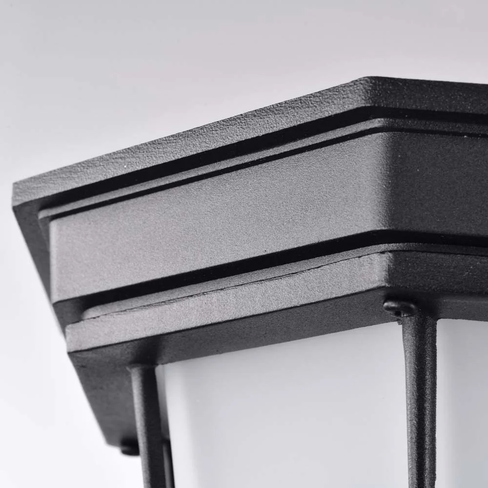 LED Spider Cage Fixture Black Finish w/ Frosted Glass - Image 5