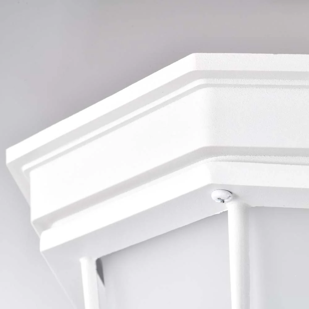 LED Spider Cage Fixture White Finish w/ Frosted Glass - Image 5