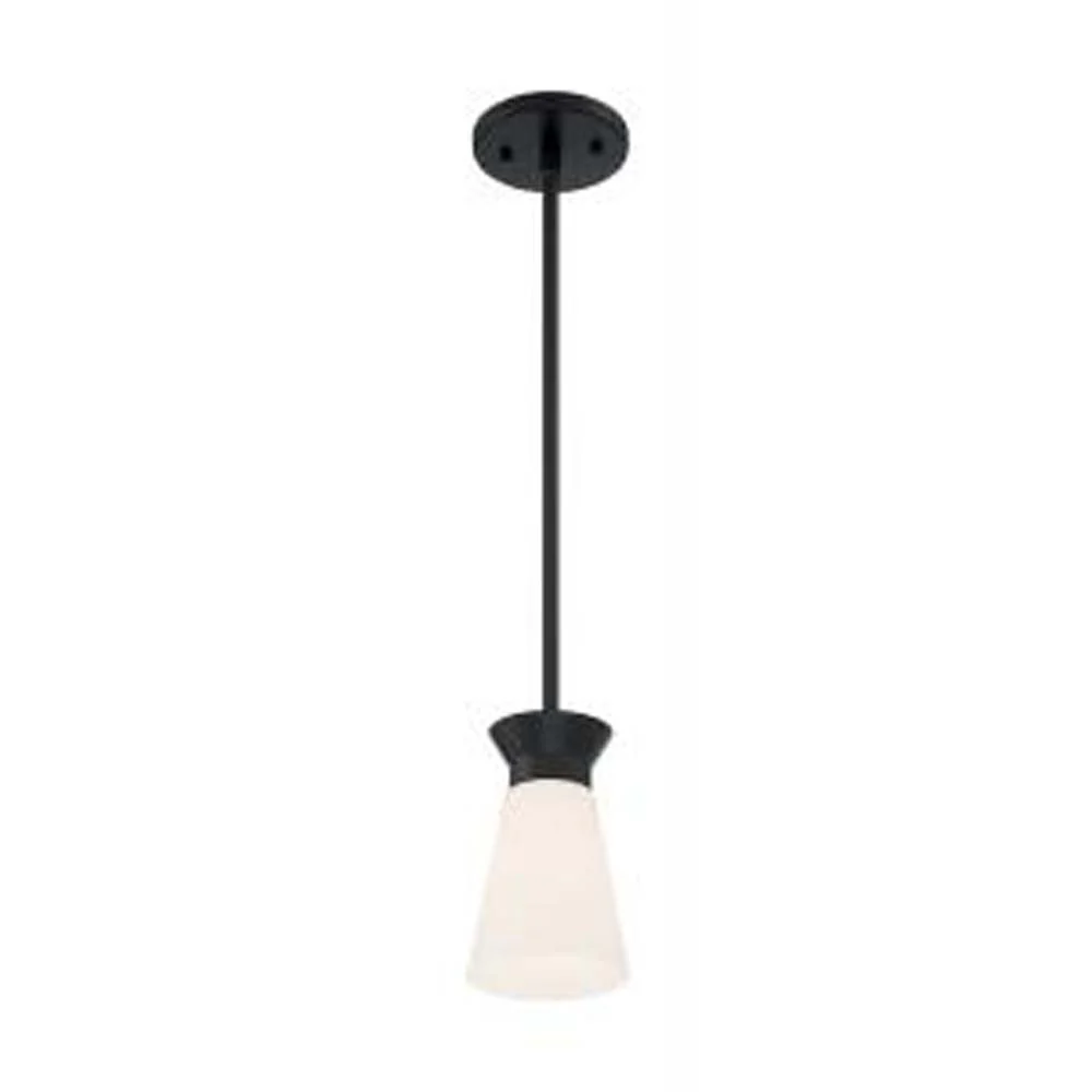 Nuvo Caleta 1-Light Mini Pendant w/ Cylindrical Glass in Black Finish