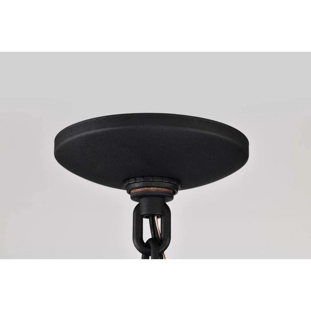 Raiden Outdoor 14.5-in Hanging Light Matte Black Finish w/ Clear Seedy Glass - Image 3