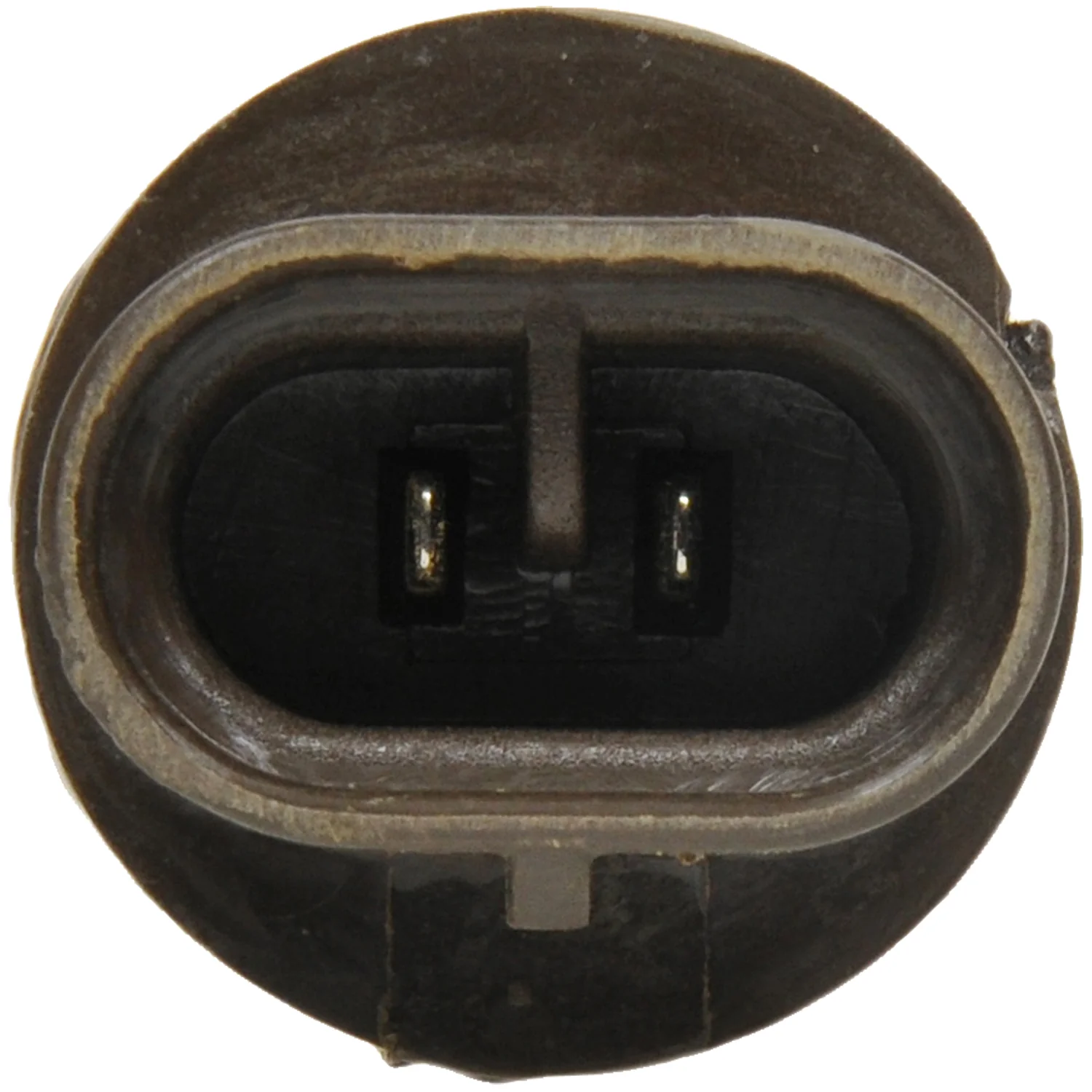 SYLVANIA 899 Standard Halogen Fog Automotive Bulb - Image 7