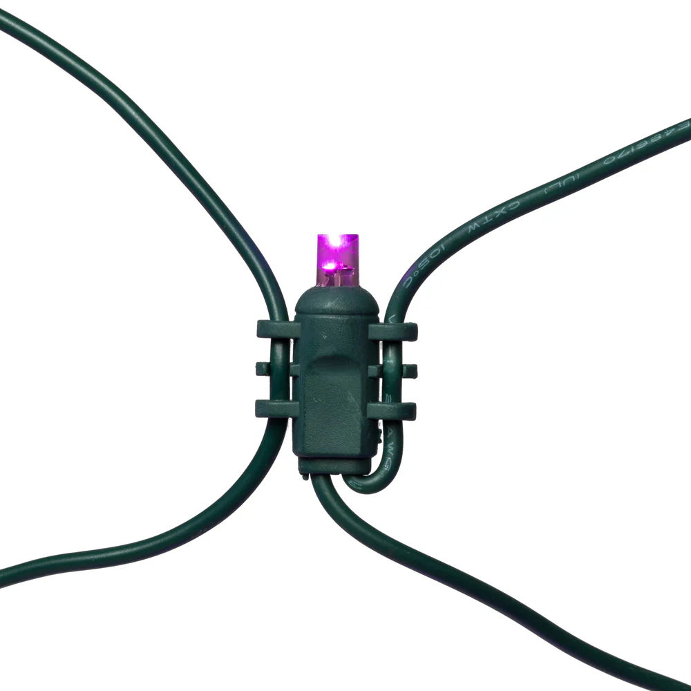 Vickerman 120 Light 4x 6 ft.LED Purple Twinkle Net - Image 2