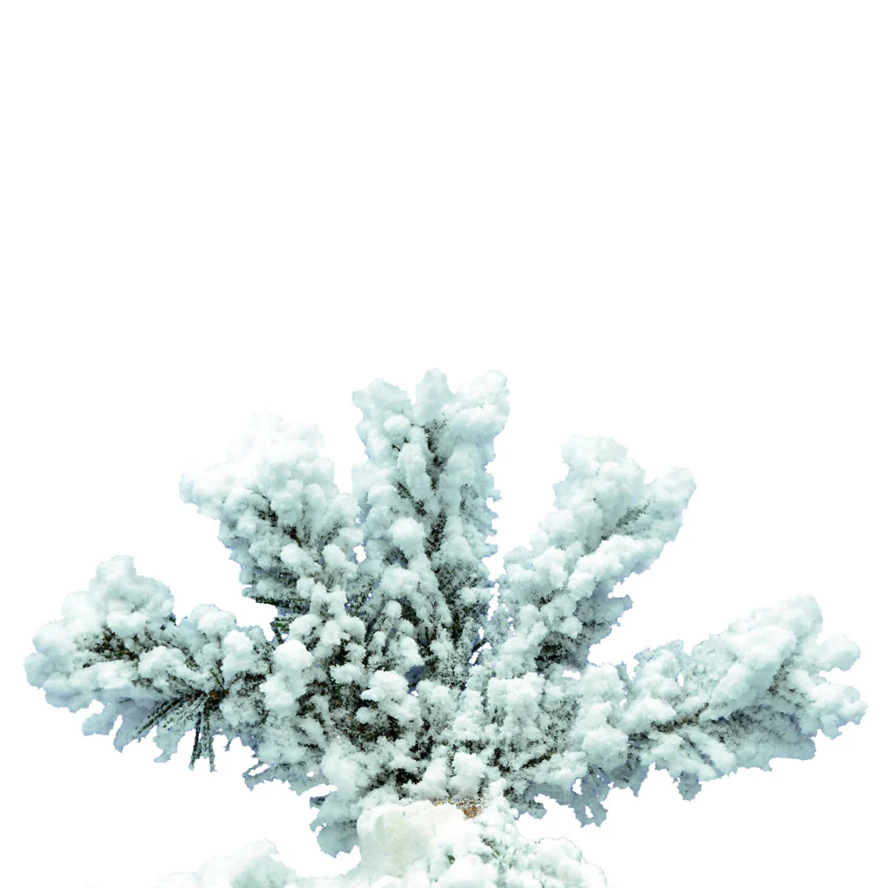 Vickerman 5ft. Flocked Spruce Artificial Christmas Tree Unlit - Image 2