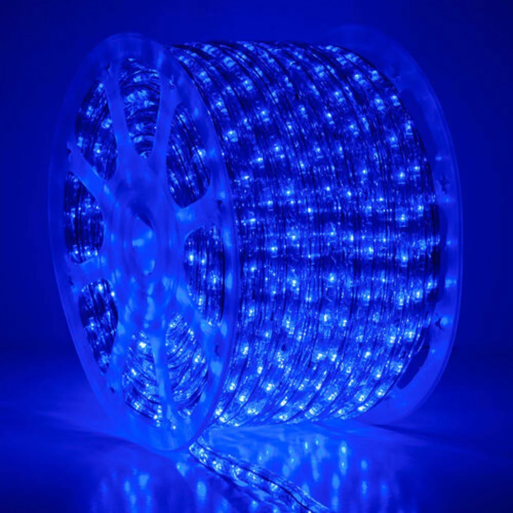 Wintergreen 150 ft Blue LED Rope Light 2-Wire
