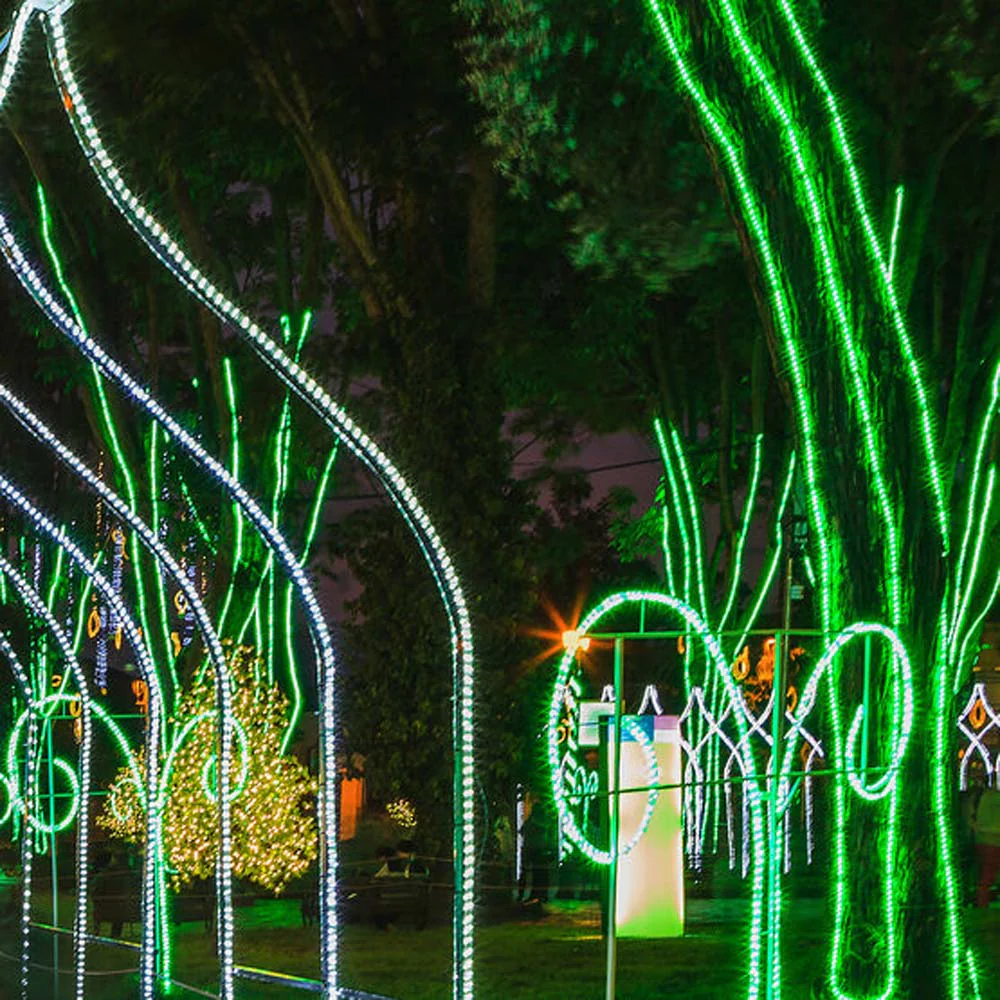 Wintergreen 150 ft Green LED Rope Light 2-Wire - Image 3
