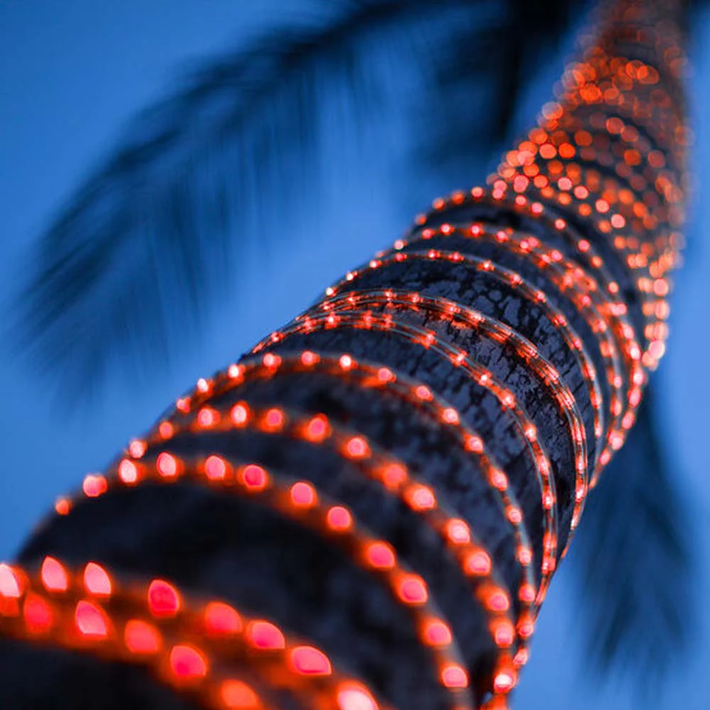 Wintergreen 150 ft Red LED Rope Light 2-Wire - Image 3