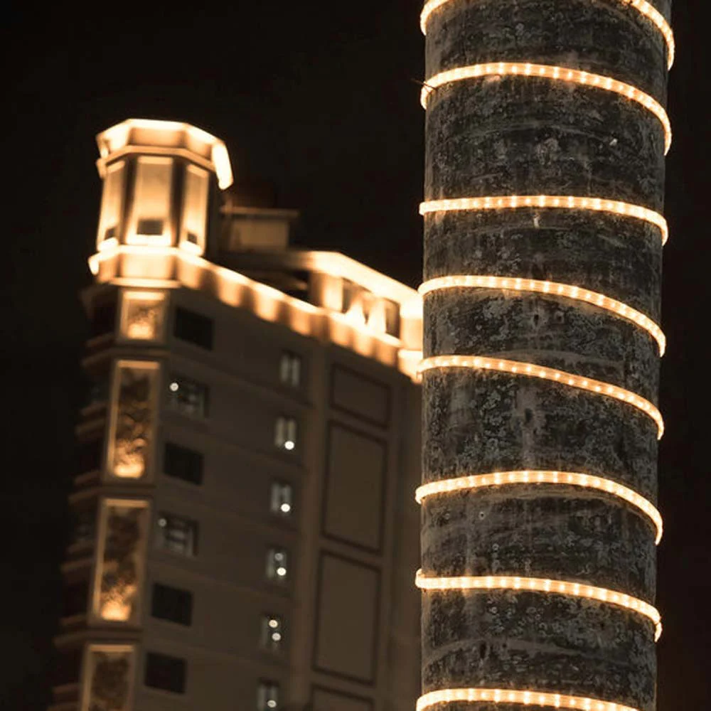 Wintergreen 150 ft Warm White LED Rope Light 2-Wire - Image 3