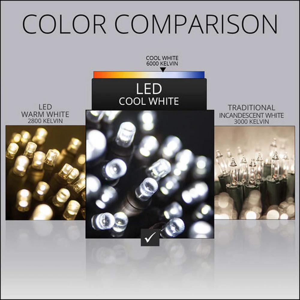 Wintergreen 50 5mm Cool White LED Christmas Lights 6" Spacing  120v - Image 3
