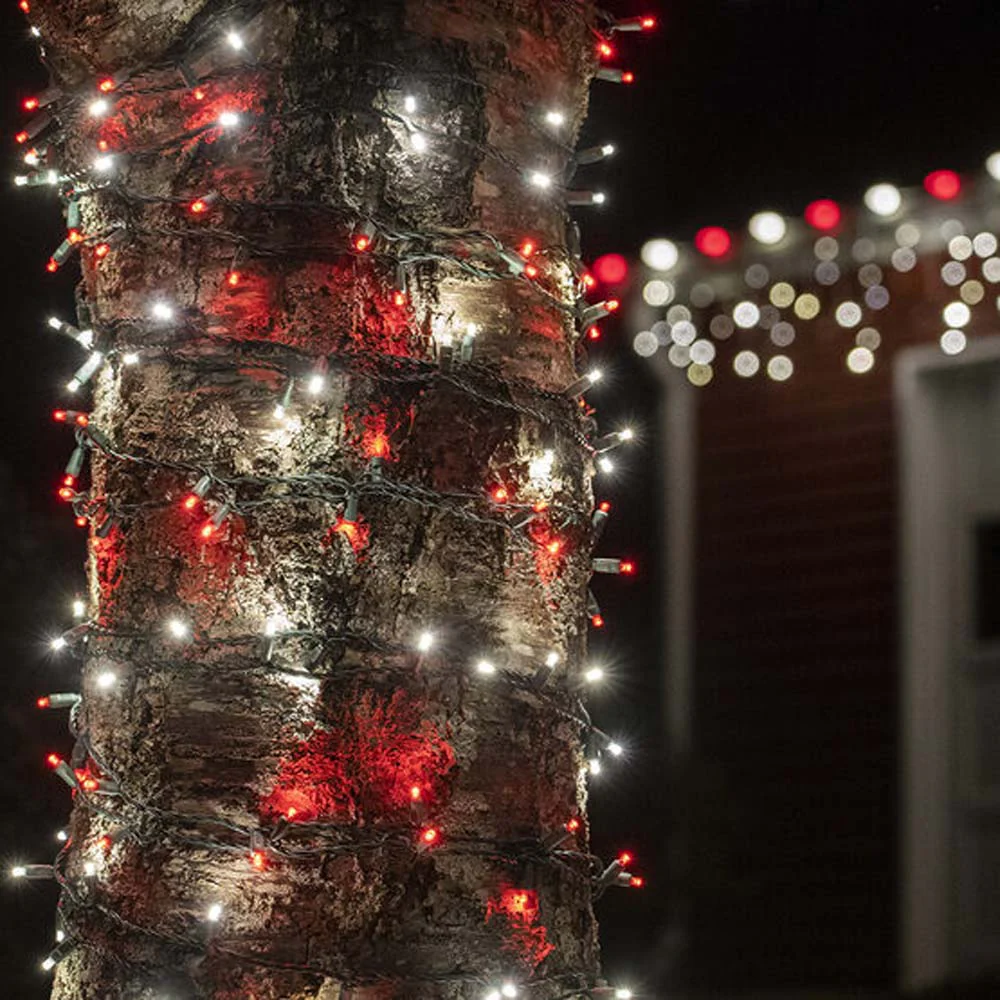Wintergreen 70 5mm Red Cool White LED Christmas Lights 4in. Spacing 120v - Image 5